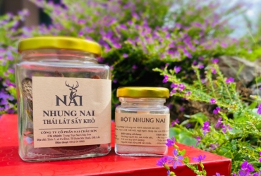 Bột Lộc Nhung